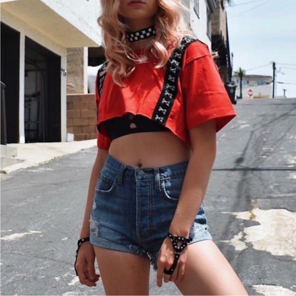 LF Emma + Sam Vintage Red Crop Top